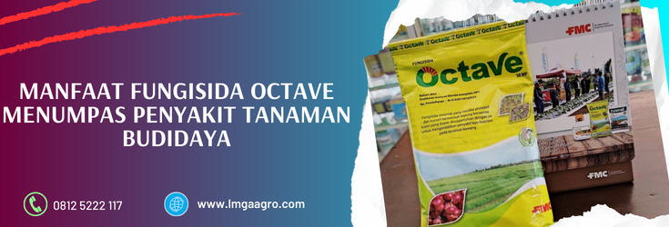 octave fungisida, manfaat fungisida, bahan aktif fungisida octave, fungisida bahan aktif prokloraz, kegunaan fungisida