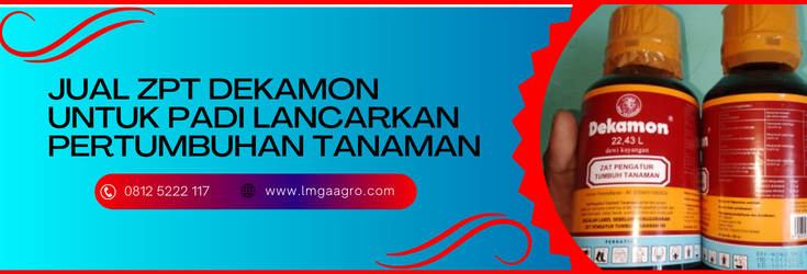 dekamon untuk padi, zpt dekamon, zpt terbaik untuk padi, manfaat zpt, zpt untuk memperbanyak anakan padi