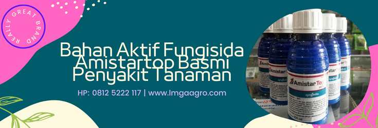 amistartop, bahan aktif amistartop, amistartop fungisida, bahan aktif amistartop 250 ml, fungisida amistartop bahan aktif