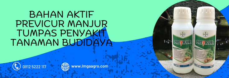 previcur, kegunaan previcur, previcur fungisida, bahan aktif fungisida dan fungsinya, previcur n