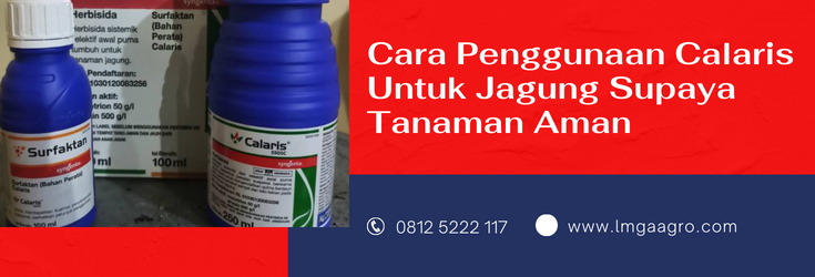 calaris herbisida, herbisida untuk jagung, dosis calaris per tangki, calaris jagung, herbisida selektif untuk jagung