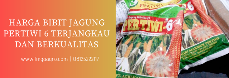 jagung pertiwi 6, benih jagung pertiwi 6, keunggulan jagung pertiwi 6, harga bibit jagung pertiwi 6, harga benih jagung pertiwi 6