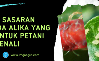 alika insektisida, alika pestisida, insektisida alika bahan aktif, harga insektisida alika 250 ml, hama sasaran insektisida alika