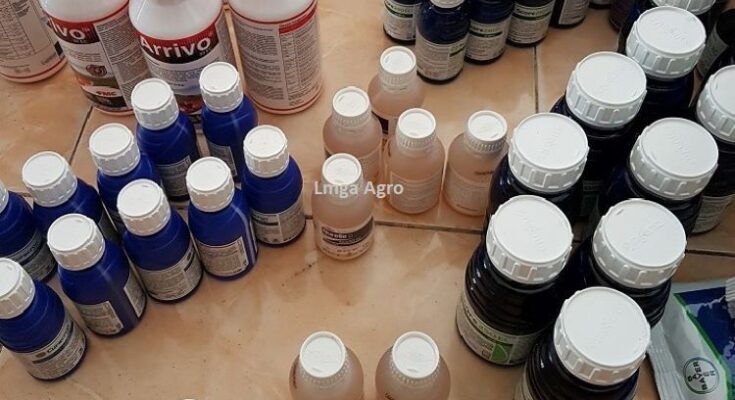 Distributor Obat Pertanian Temurah, Distributor Pestisida, Jual Pestisida, Pestisida, Obat Pertanian, Toko Pertanian, Toko Pertanian Terdekat, Supplier Obat Pertanian, Lmga Agro, Toko Tani