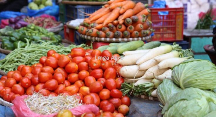 Toko Pertanian Terdekat Dari Lokasi Saya Sekarang, Toko Pertanian Dari Lokasi Saya, Toko Pertanian, Toko Pertanian Terdekat, Toko Tani, Lmga Agro, Harga Murah, Bisnis Online, Belanja Online