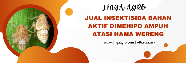 Insektisida bahan aktif dimehipo, tanam padi, padi, contoh hama, racun hama, lmga agro