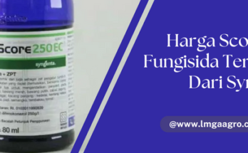 Harga score 100 ml, penyakit tanaman, penyakit pada tanaman, score fungisida, bahan aktif score, LMGA AGRO