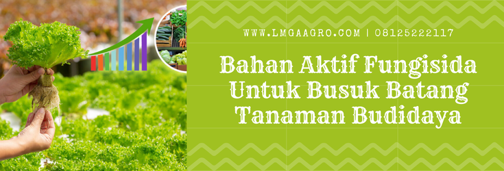 Budidaya tanaman, fungisida adalah, fungisida sistemik terbaik, bahan aktif fungisida untuk busuk batang, penyakit pada tanaman, Lmga Agro