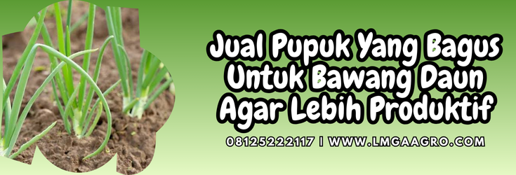 pupuk yang bagus untuk bawang daun, bawang daun, bibit daun bawang, atonik, tanaman daun bawang, jenis pupuk