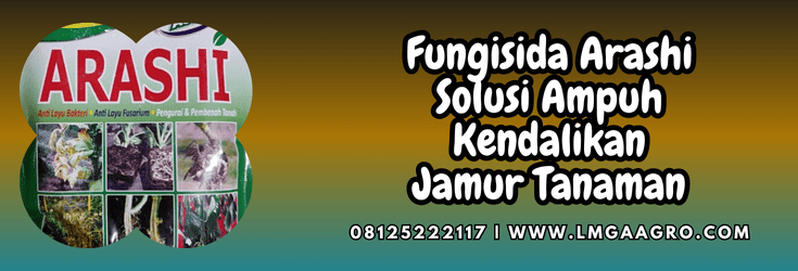 fungisida,arashi,bumi jaya makmur,pertanian,budidaya tanaman,lmga agro