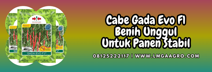 cabe gada evo,cabe,gada evo,f1,gada evo f1,lmga agro