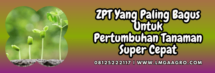 zpt,paling,bagus,zpt yang paling bagus,lmga agro