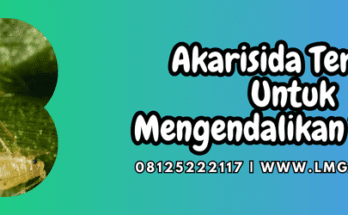 akarisida terbaik,akarisida,terbaik,pestisida,lmga agro