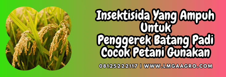 insektisida yang ampuh untuk penggerek batang padi,pestisida,insektisida,penggerek batang,padi,lmga agro