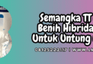 semangka tt dragon,semangka,tt dragon,tt dragon f1,lmga agro